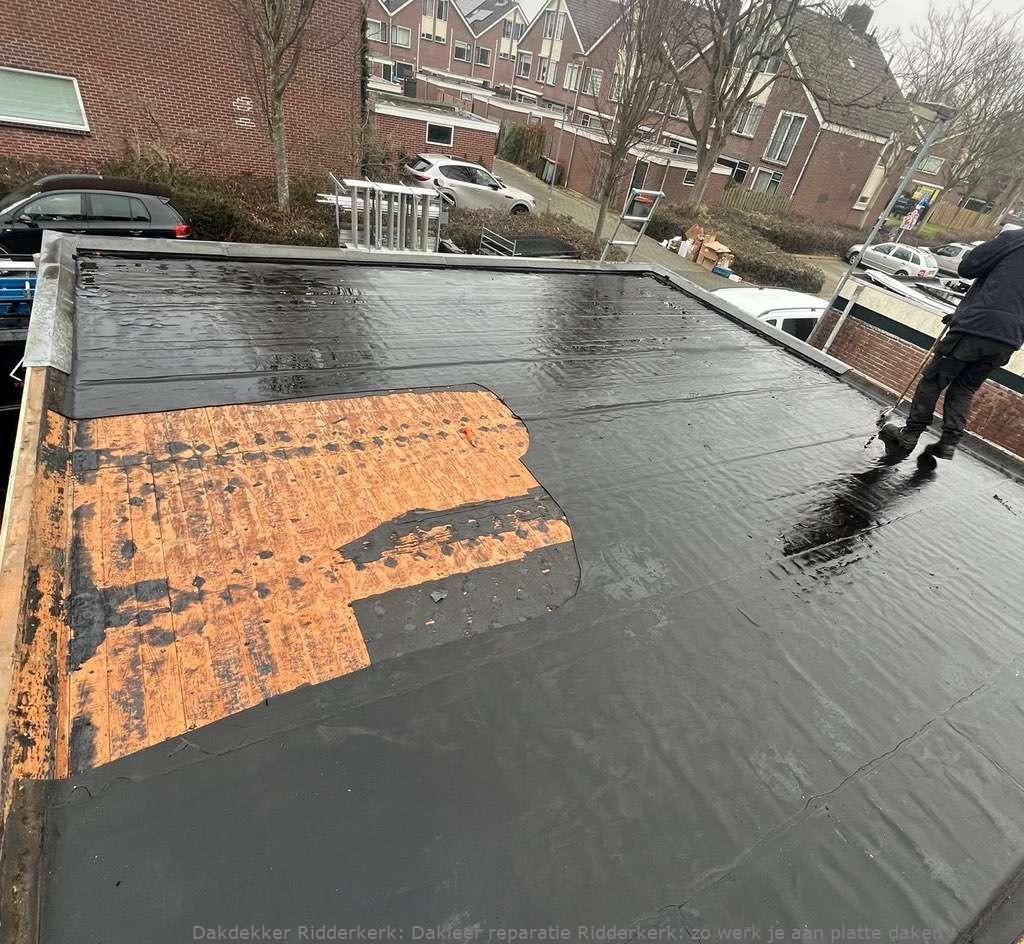 Dakleer Reparatie Ridderkerk