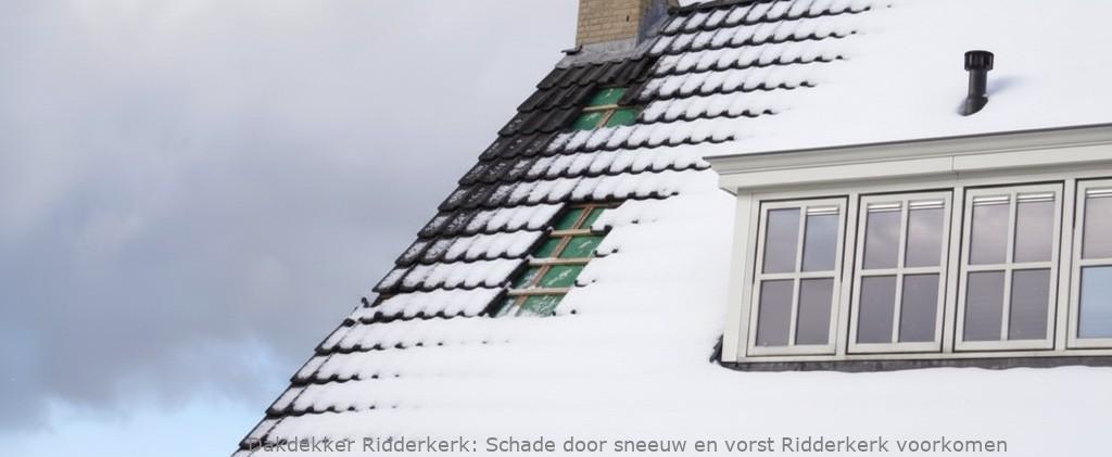 Schade Door Sneeuw En Vorst Ridderkerk
