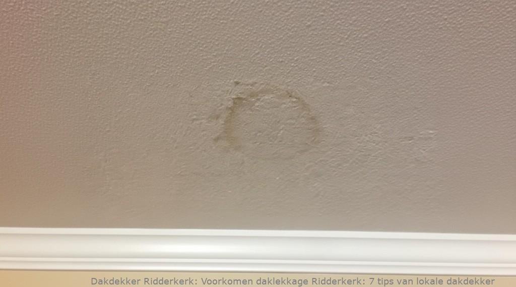 Voorkomen Daklekkage Ridderkerk